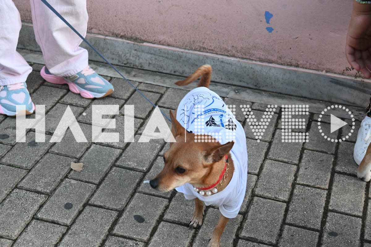 antikarkiniki drasi 12
