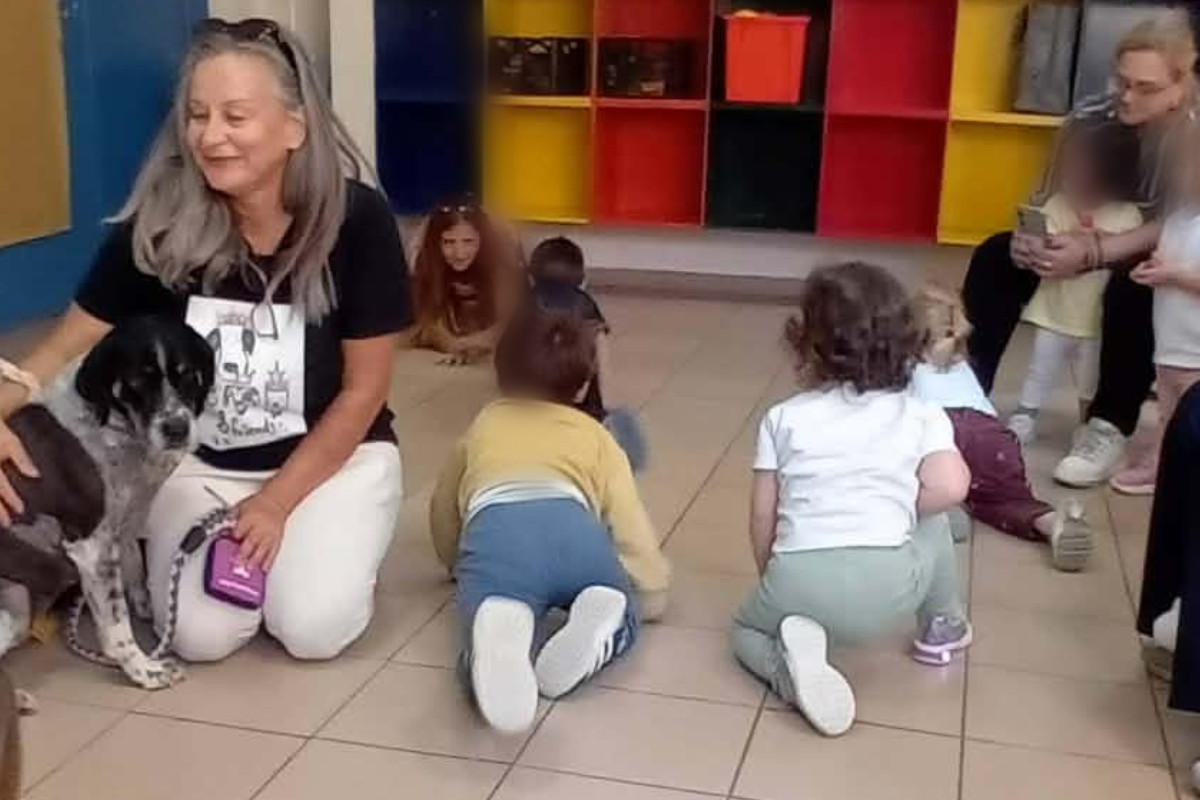 paidikos andravidas 2
