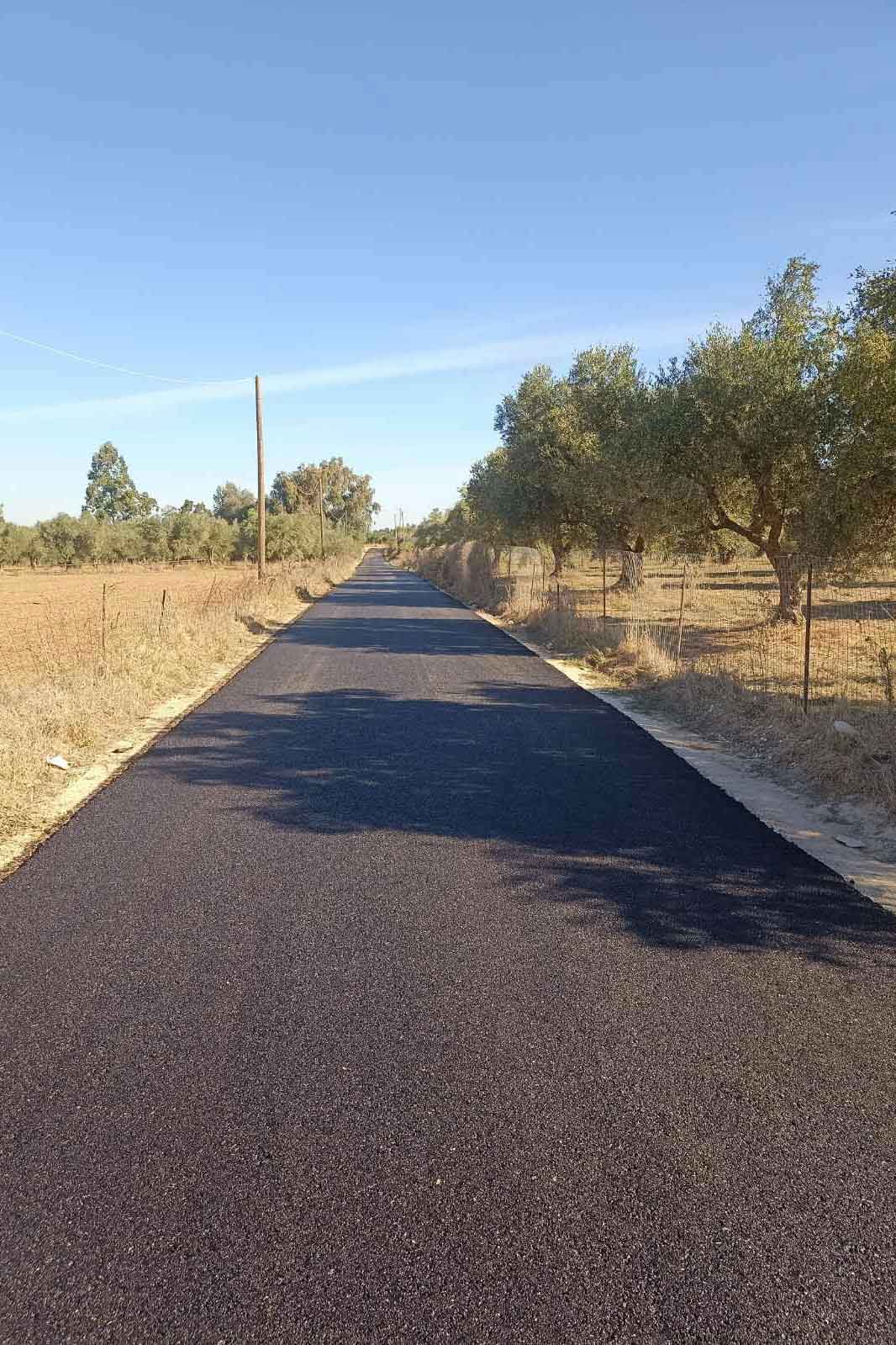 dt asfaltostrosi agioi theodoroi 10