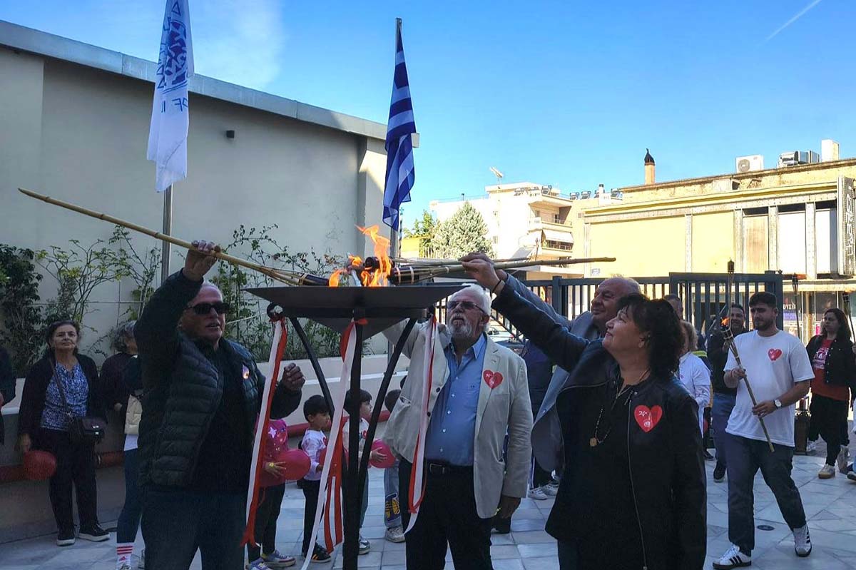 dt floga aimodotes amaliada 2