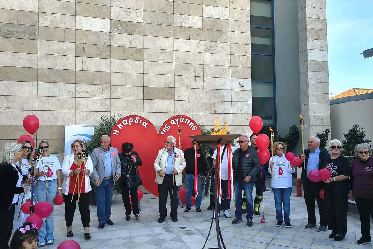 dt floga aimodotes amaliada 6