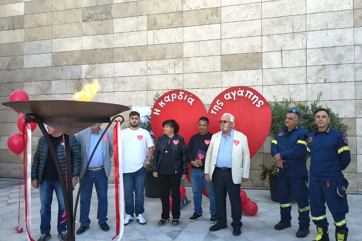 dt floga aimodotes amaliada 7