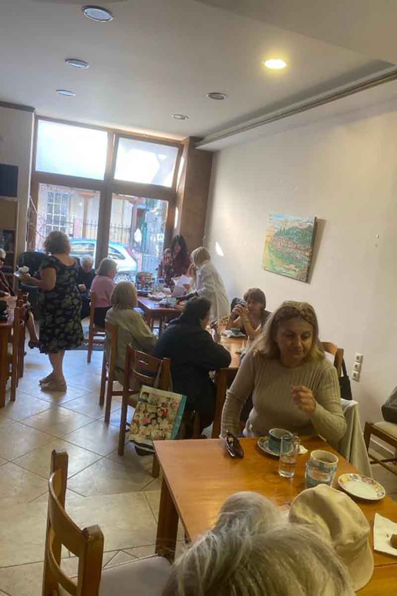dt voithia sto spiti 2