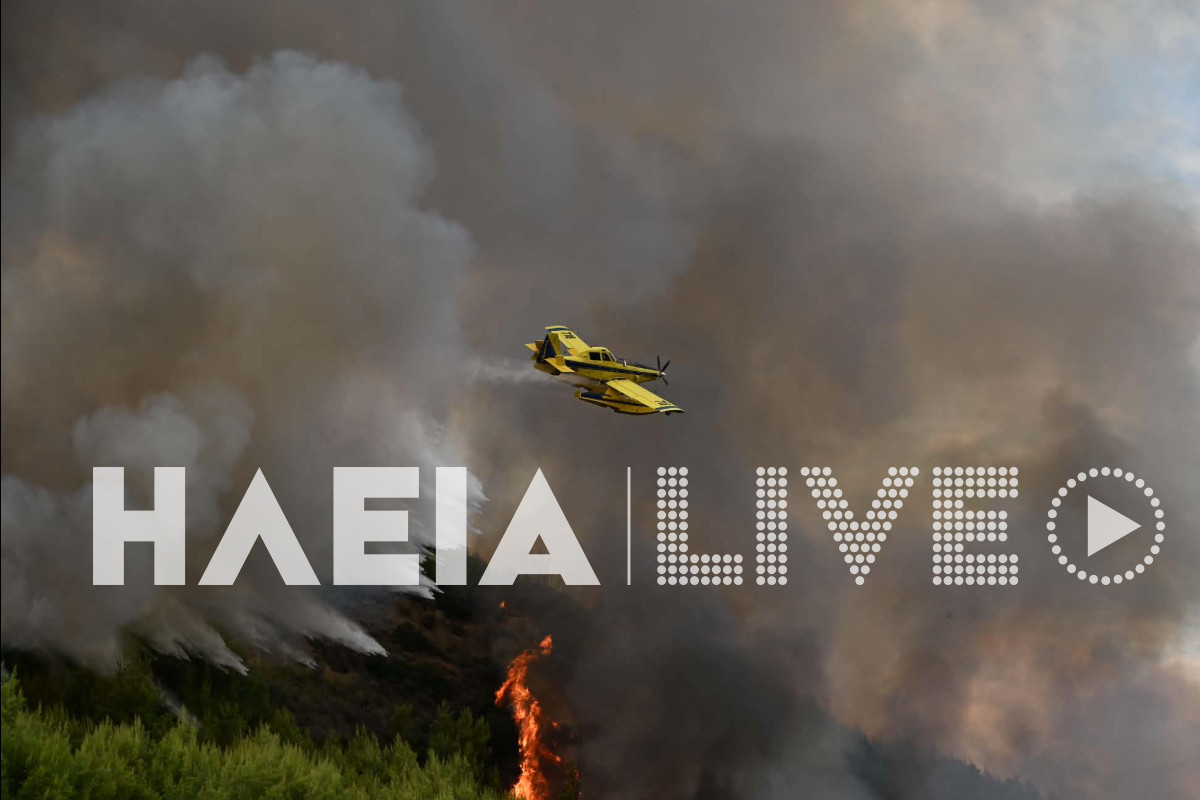 fotia mouzaki aeroplano 2