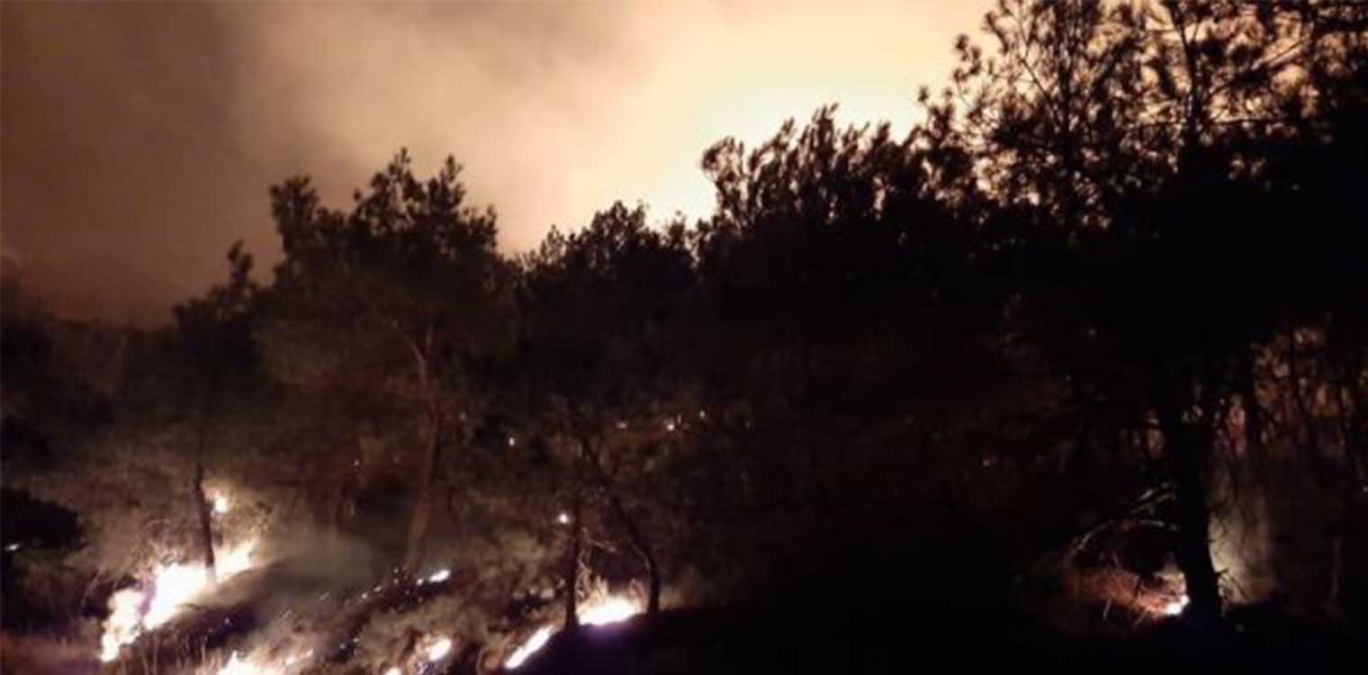 Εβρος: Οργή της WWF Ελλάς για πυρκαγιά που φαίνεται να ξεκίνησε από εκπαιδευτικές βολές