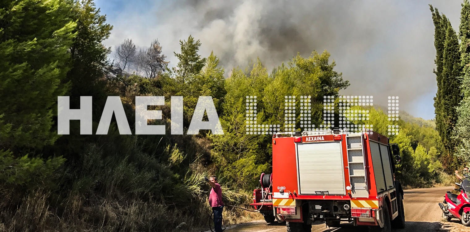 Δίβρη Αρχ. Ολυμπίας: Πληροφορίες για πυρκαγιά στο ελατοδάσος