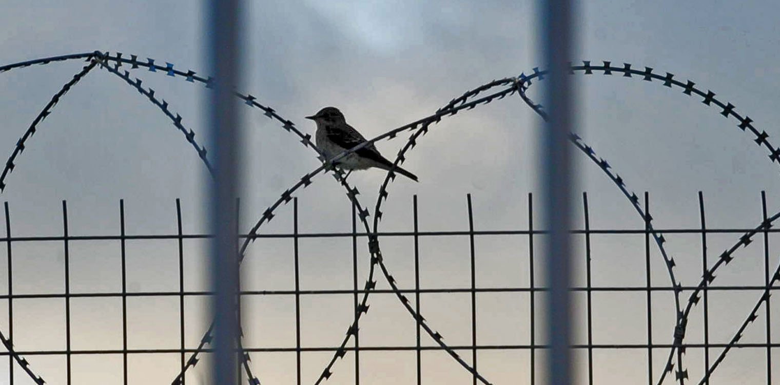 Αστυνομική έφοδος στις φυλακές Κορυδαλλού: Πιστόλι και 19 σφαίρες βρέθηκαν σε κελί