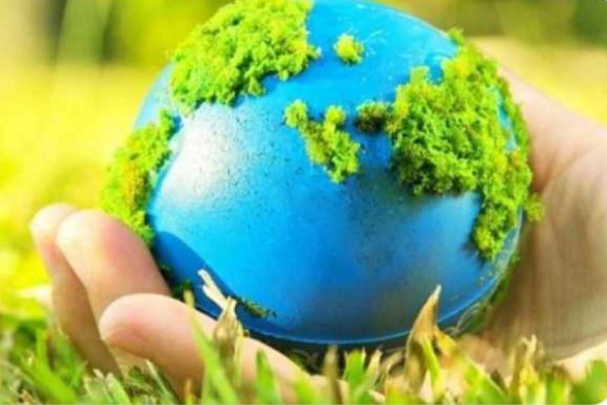 75 Trees UNAI SDG7