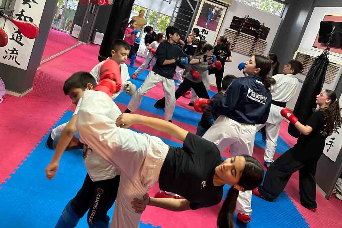 elas karate kiato 3