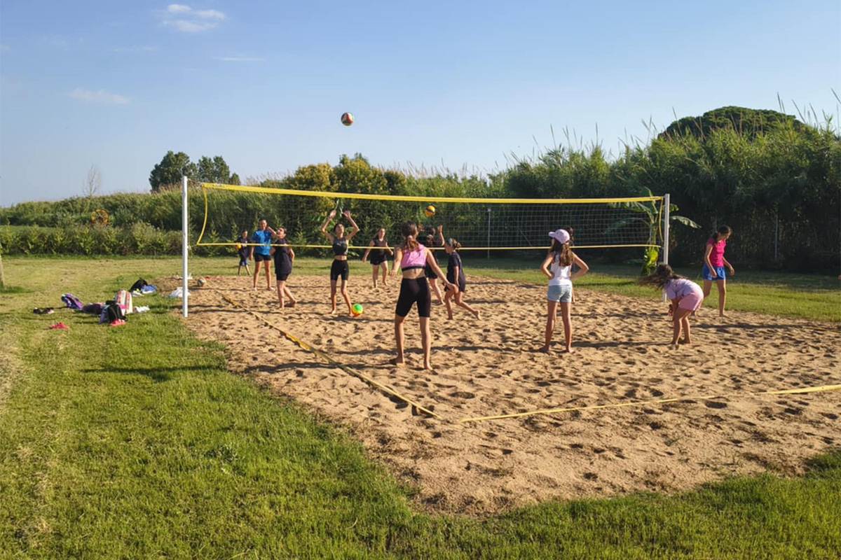 purgeas voley dara 2