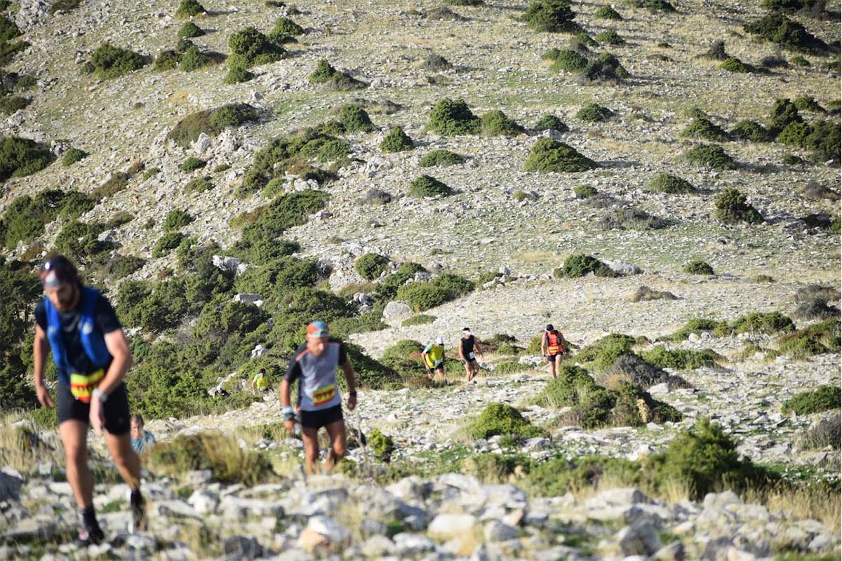 dirvis trail race 5