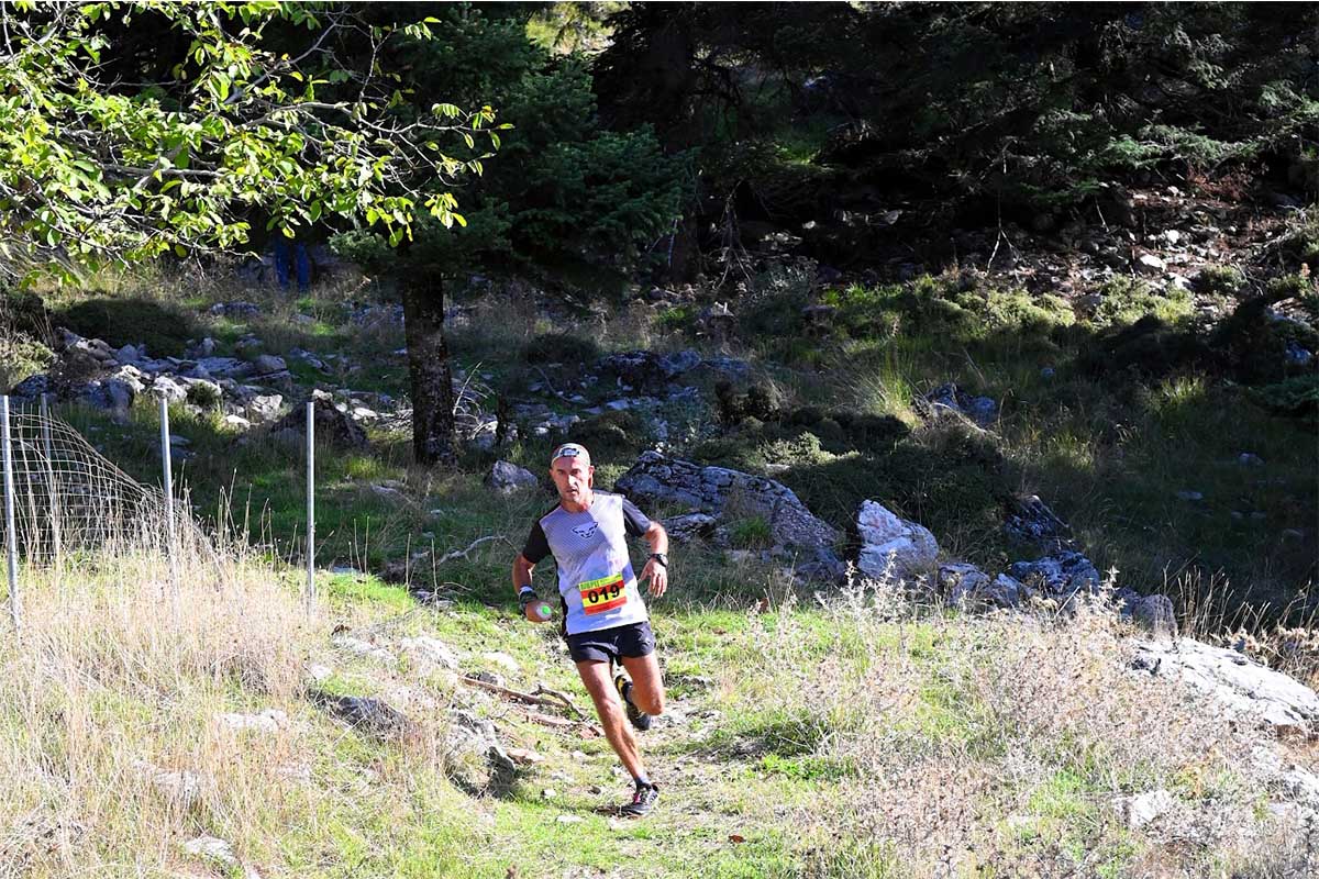 dirvis trail race 6