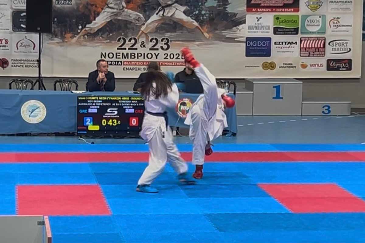 karate panel purgos 2