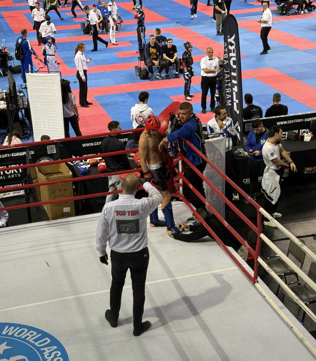 papadop kick box 8