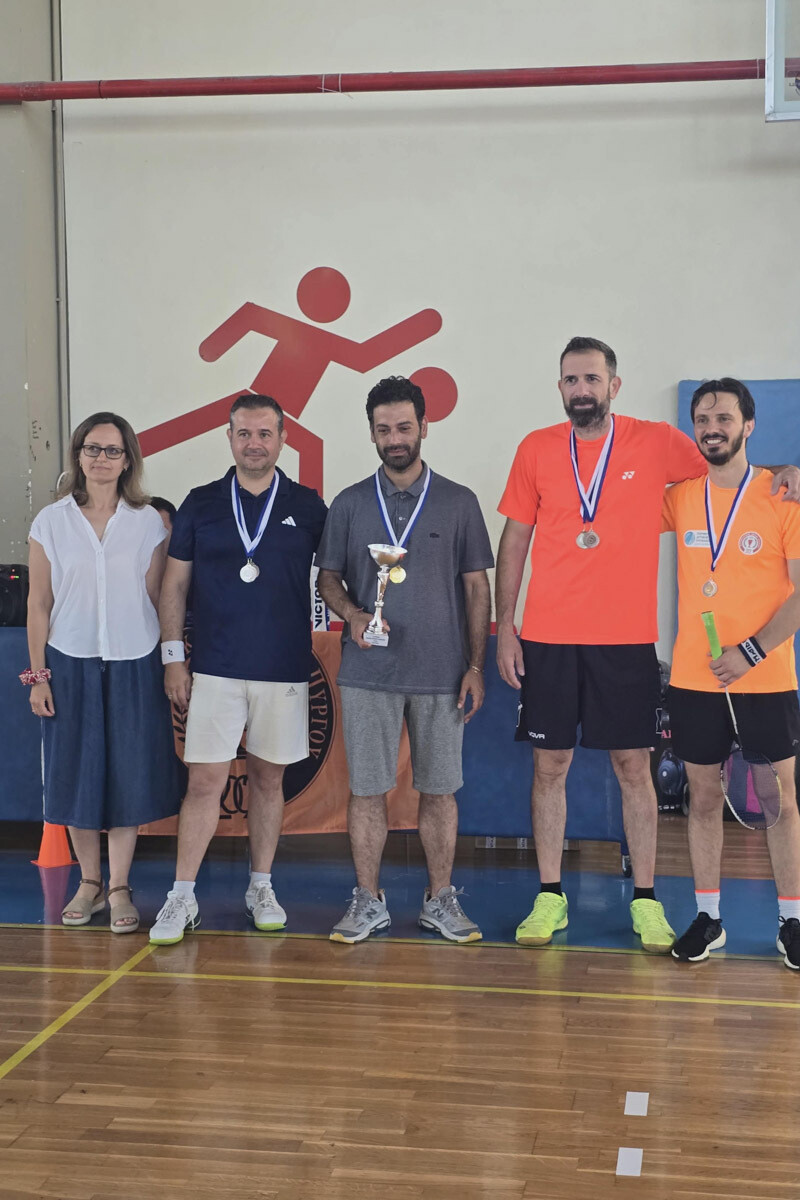 dt badminton 3 488b6