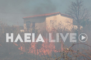 Φωτιά σε χορτολιβαδική έκταση στο Τραγανό του Δήμου Πηνειού κοντά σε οικισμό