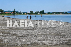 Κατάκολο: Παράπονα για τα ακαθάριστα φύκια στην παραλία εν μέσω τουριστικής περιόδου