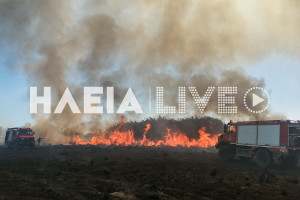 Αρετή Λεχαινών: Υπό έλεγχο η πυρκαγιά σε αγροτοδασική έκταση