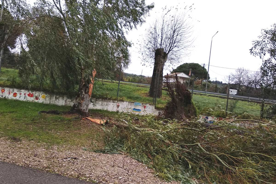 Ζημιές από τα ακραία καιρικά φαινόμενα σε πολλά σημεία του Δήμου Ανδρίτσαινας-Κρεστένων
