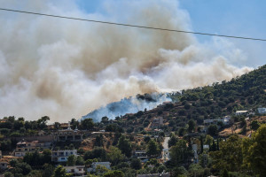 Φωτιά στη Σαλαμίνα: Δύο νεκροί - Τεράστια μάχη με τις φλόγες και συνεχείς εκκενώσεις