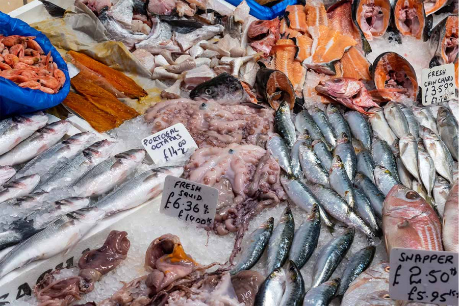 Πρώτες αυξήσεις στα θαλασσινά: Πόσο ανέβηκαν οι τιμές σε 2 εβδομάδες για χταπόδι, καλαμάρι και θράψαλο
