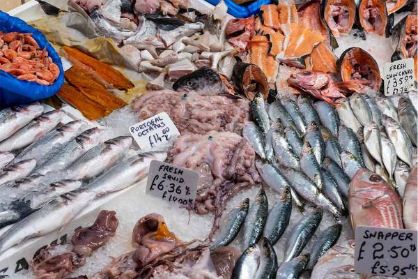 Πρώτες αυξήσεις στα θαλασσινά: Πόσο ανέβηκαν οι τιμές σε 2 εβδομάδες για χταπόδι, καλαμάρι και θράψαλο