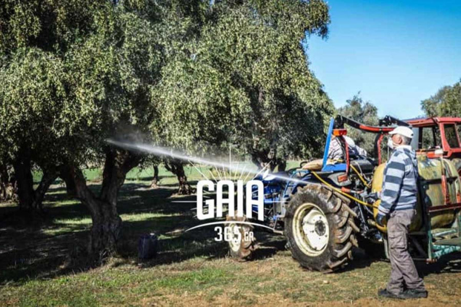 Ξεκινά ο τελευταίος δολωματικός ψεκασμός στην Π.Ε Ηλείας