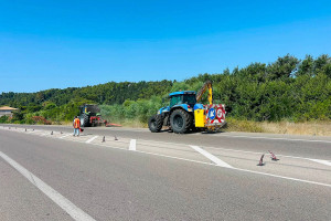 Ηλεία: Συνεχίζονται οι εργασίες καθαρισμού της βλάστησης στο επαρχιακό οδικό δίκτυο