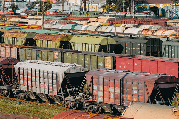 Έριξαν 2.500 βαγόνια στον Ατλαντικό: Μετά από 25 χρόνια τα έχουν «καταλάβει» τα ψάρια