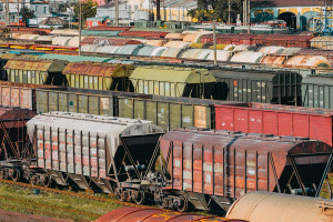Έριξαν 2.500 βαγόνια στον Ατλαντικό: Μετά από 25 χρόνια τα έχουν «καταλάβει» τα ψάρια
