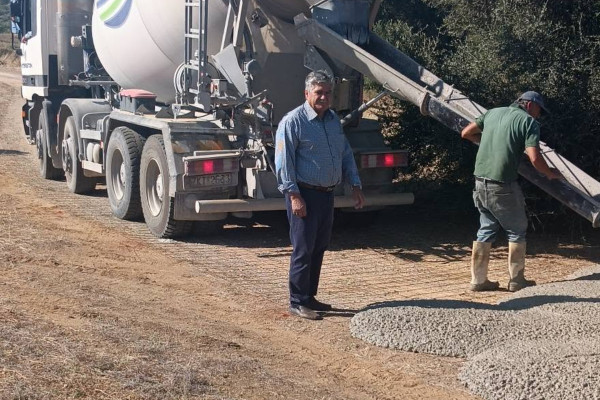 Ξεκίνησε η «επούλωση» των πληγών από τις πυρκαγιές του 2024 στην Πηνεία