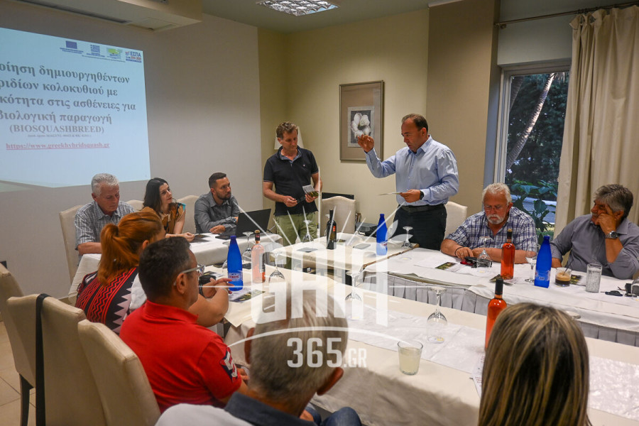 Ηλεία: Πρωτοπορία στην Καλλιέργεια - Ελληνικά ανθεκτικά υβρίδια κολοκυθιού με την ονομασία “Ήλιδα”