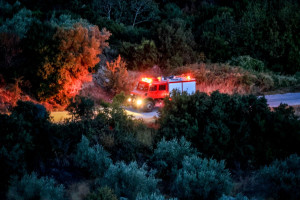 Λάρισα: Παραδόθηκαν τα δύο αδέλφια που αναζητούνταν για την υπόθεση με τις λίρες