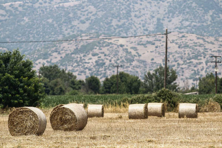 ΥπΑΑΤ: Στη Βουλή το αγροτικό πολυνομοσχέδιο – Τι περιλαμβάνει