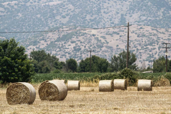 ΥπΑΑΤ: Στη Βουλή το αγροτικό πολυνομοσχέδιο – Τι περιλαμβάνει