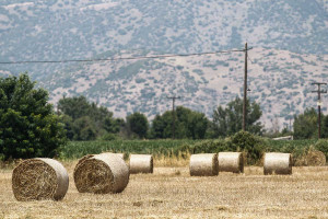 ΥπΑΑΤ: Στη Βουλή το αγροτικό πολυνομοσχέδιο – Τι περιλαμβάνει