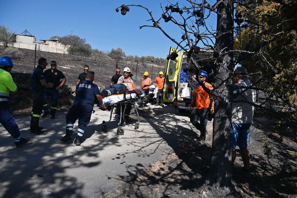 Αργολίδα: Εργαζόμενος του ΔΕΔΔΗΕ καταπλακώθηκε από δέντρο κατά την διάρκεια εργασιών