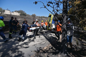 Αργολίδα: Εργαζόμενος του ΔΕΔΔΗΕ καταπλακώθηκε από δέντρο κατά την διάρκεια εργασιών