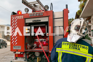 Πυροσβέστης έπεσε στα βράχια κατά την κατάσβεση φωτιάς στην Αργολίδα - Κρίσιμη η κατάστασή του