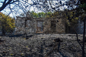 Σε ύφεση οι φωτιές στην Πάτρα: Επιφυλακή σε Πλατάνι και Μπάλα για τυχόν αναζωπυρώσεις