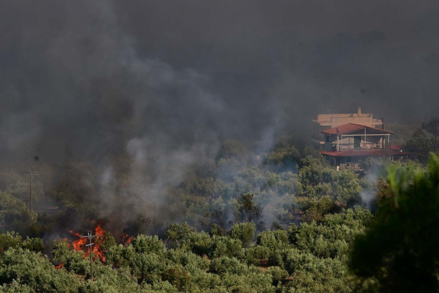 Ασύλληπτη η καταστροφή από τη φωτιά στη Βοιωτία - Έχουν καεί έως και 50.000 στρέμματα