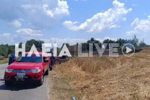 Πύργος: Πυρκαγιά σε λιοστάσι στο δρόμο Λαστεϊκών - Αγ. Ιωάννη