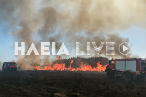 Ηλεία: Οι πυροσβέστες «κράτησαν όρθιο» το νομό παρά την υποστελέχωση - Πάνω από 1.500 συμβάντα αντιμετωπίστηκαν επιτυχώς