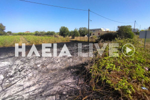 Πατρών - Πύργου: Πυρκαγιά στο πρανές κοντά στη διασταύρωση Παπακασελά