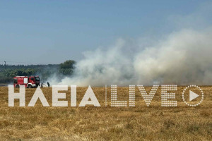 Σκουροχώρι: Στις φλόγες χορτολιβαδικές εκτάσεις