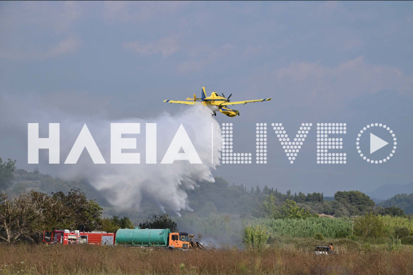 Πύργος: Συναγερμός στην Πυροσβεστική για πυρκαγιά στις Κολιρέικες Παράγκες - Οριοθετήθηκε από τις δυνάμεις