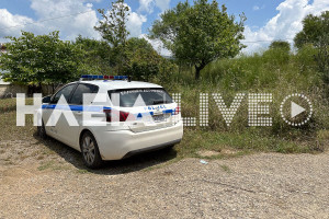 “Θρίλερ” στο δάσος της Στροφυλιάς: Βρέθηκαν ανθρώπινα οστά από εργαζόμενους – Στο σημείο ΕΛ.ΑΣ και ιατροδικαστής