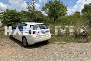 Πράσινο Πύργου: Πυροβόλησε στον αέρα - Απείλησε ότι θα σκοτώσει αυτή και τα παιδιά της