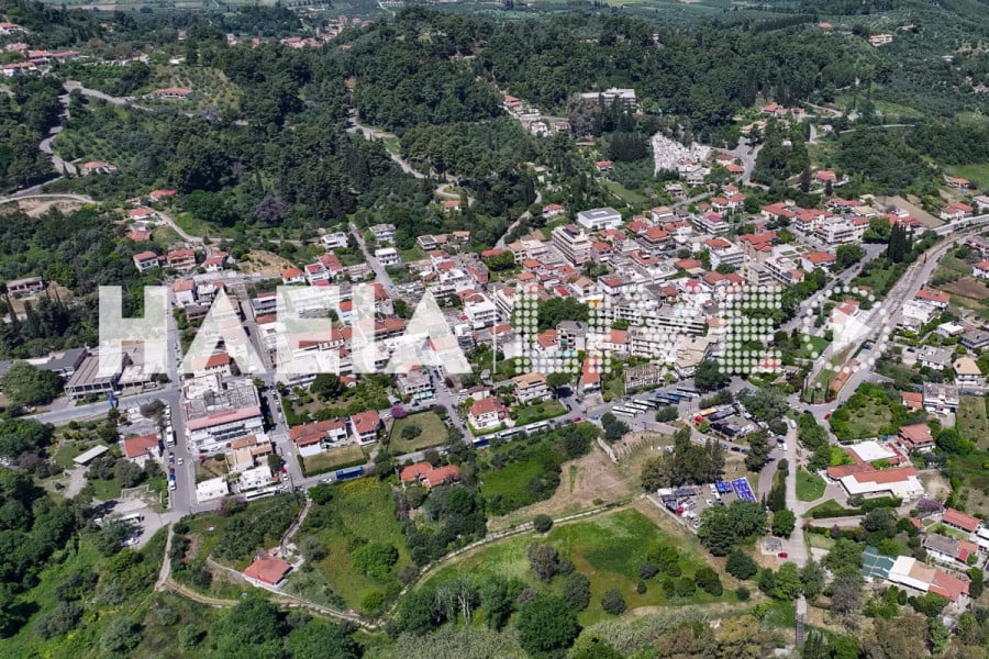 Αρχ. Ολυμπία: Προεκλογικός "μποναμάς" το τμήμα Ολυμπιακών Σπουδών και ξεκίνημα με 100 φοιτητές