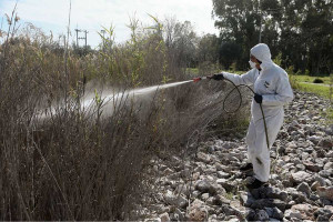 Εκτεταμένες παρεμβάσεις καταπολέμησης κουνουπιών σε όλη την Ηλεία από την Περιφέρεια Δυτικής Ελλάδας